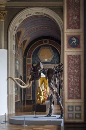 PHOTO 1 : Un squelette de mammouth est exposé dans une galerie d’exposition. En arrière-plan, on peut apercevoir une riche décoration murale.