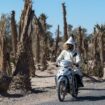 Maroc: Une nouvelle vague de chaleur fait 21 morts en 24 heures