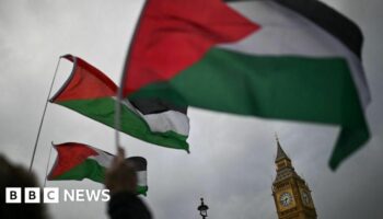 Pro-Gaza candidates squeeze Labour vote in Muslim areas