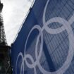 Begleitend zu den Olympischen Spielen in Paris findet im tschechischen Most ein Olympiafestival statt. Foto: Marcus Brandt/dpa
