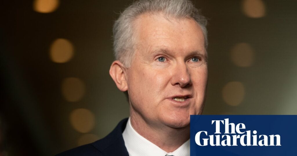 Tony Burke blasts ‘idiotic’ suggestion he would weaken security checks for Palestinians