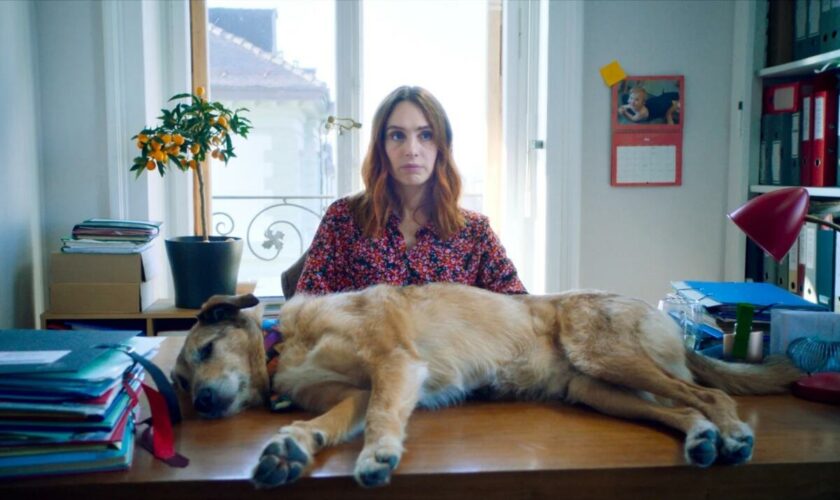 [Trailer] “Le Procès du chien”, un premier film mordant pour Laetitia Dosch