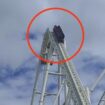 UK's tallest rollercoaster Hyperia grinds to halt in Thorpe Park for second time since opening