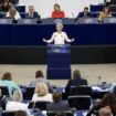 Ursula von der Leyen, réélue à la tête de la Commission européenne, a fait le service minimum sur l’acte II du pacte vert