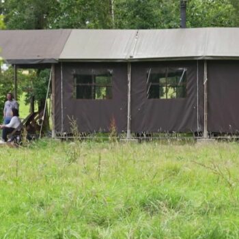 Vacances : un couple d’agriculteurs a installé des lodges sur son exploitation