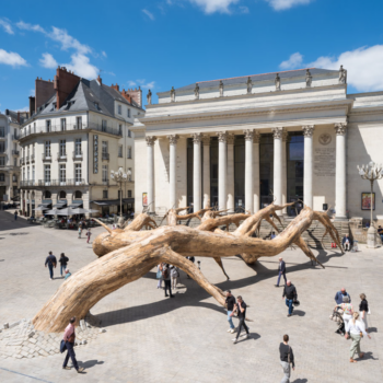 “Voyage à Nantes” : une treizième (et dernière) édition qui explore la vie secrète des arbres