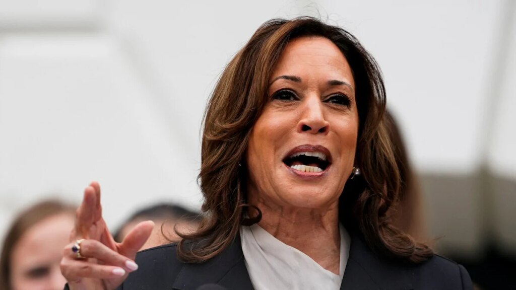 Wahl in den USA: Harris sammelt 81 Millionen Dollar Spenden in 24 Stunden