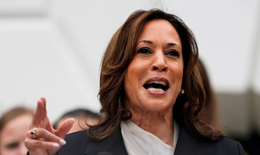 Wahl in den USA: Harris sammelt 81 Millionen Dollar Spenden in 24 Stunden