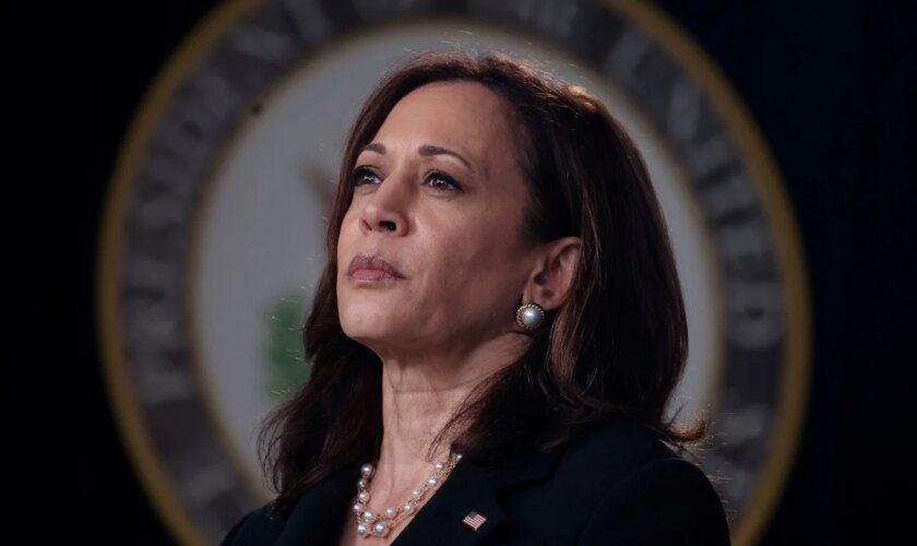 Wahl in den USA: Kamala Harris will US-Präsidentschaftskandidatin werden