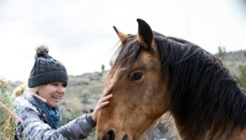 ‘Horse detective’ adopts wild mustangs, reunites them with herds
