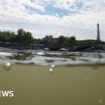 ‘It doesn’t look that bad’: Would you swim in the Seine?