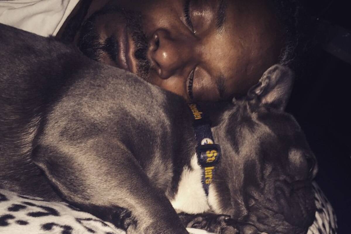 « Si mes chiens ne sont pas cools, je ne suis pas cool », Juelz, le bouledogue de Snoop Dogg, aussi badass que son maître