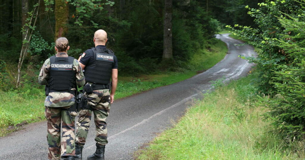 Lina : les recherches dans les Vosges s’achèvent, sans découverte d’«élément particulier»