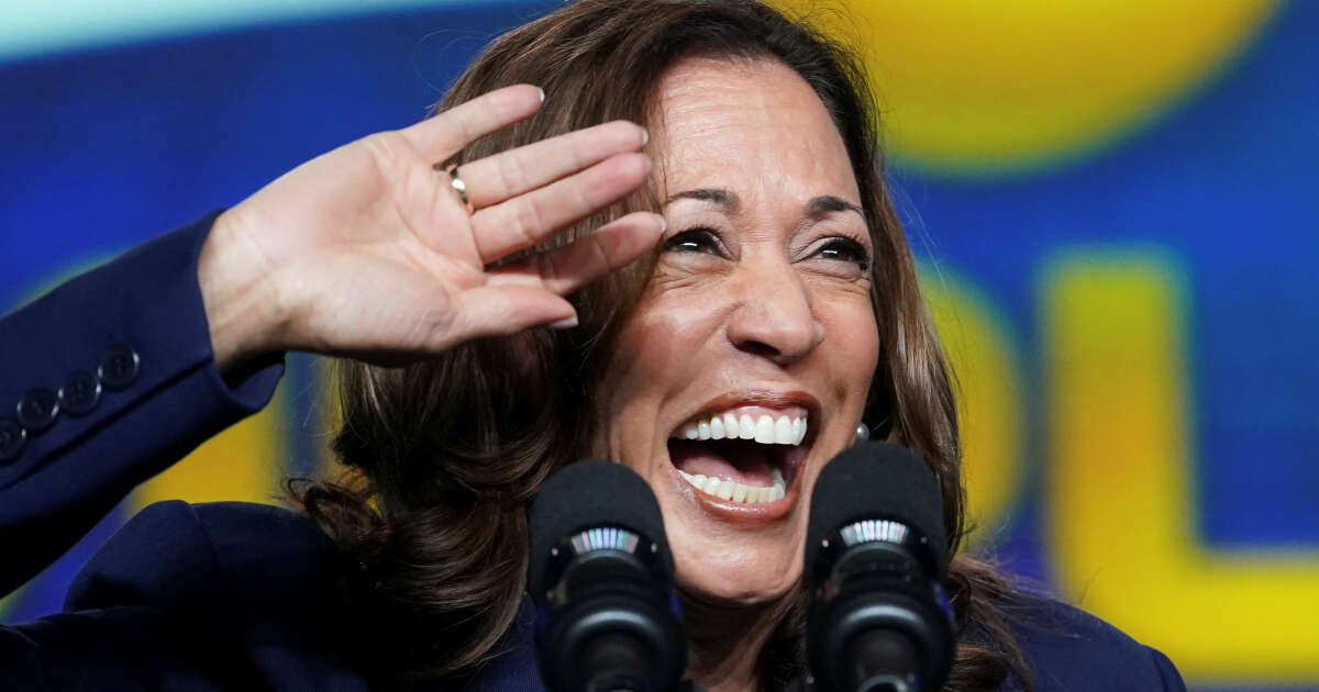 Kamala Harris décroche l’investiture démocrate pour la présidentielle