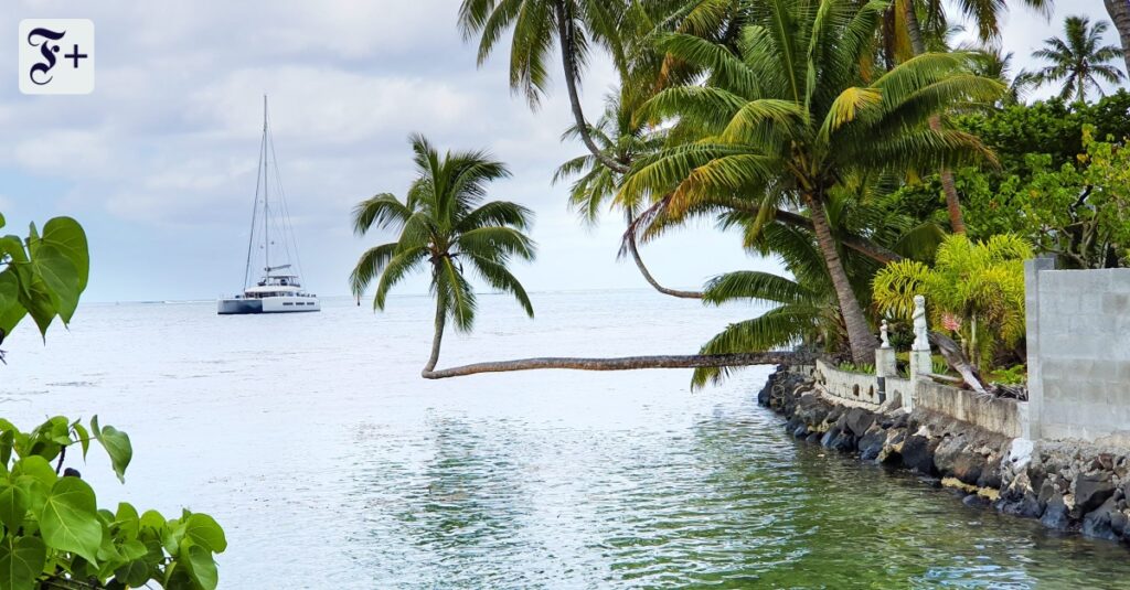 Surfen und Staunen auf Tahiti