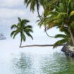 Surfen und Staunen auf Tahiti