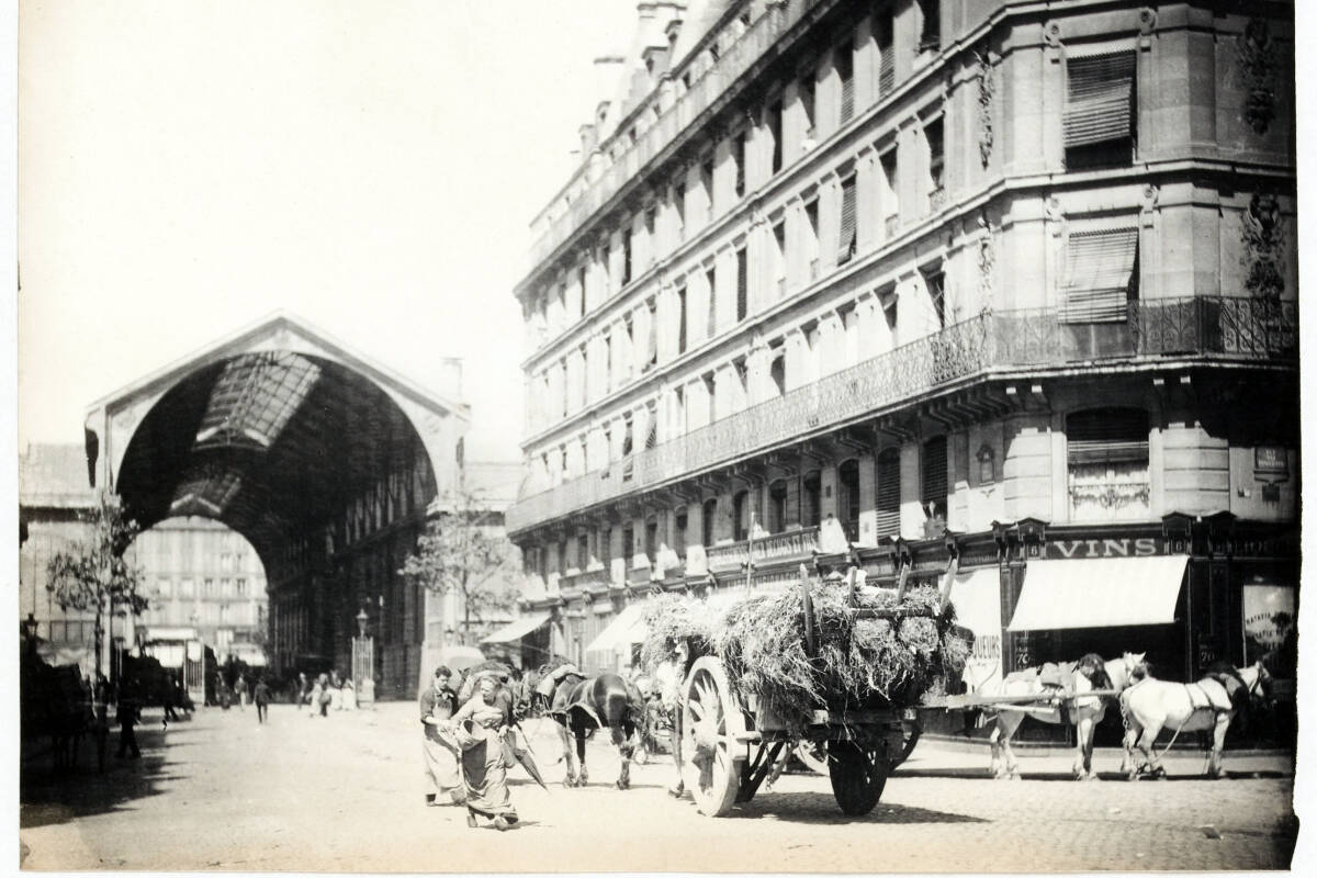 « le Ventre de Paris », si les Halles m’étaient contées