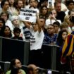 Vatikan: Tierschützerinnen protestieren bei Papst-Audienz gegen Stierkampf