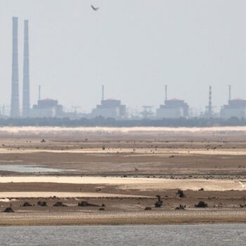 Guerre en Ukraine : un incendie fait rage dans la tour de refroidissement de la centrale nucléaire de Zaporijjia