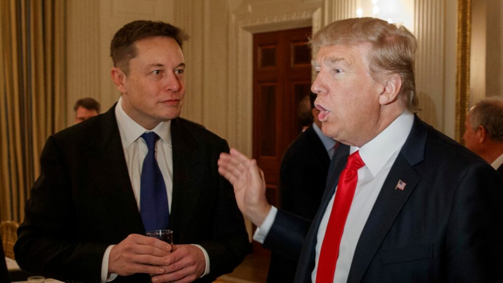 Donald Trump talks to Elon Musk at the White House in 2017. Pic: AP