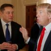 Donald Trump talks to Elon Musk at the White House in 2017. Pic: AP