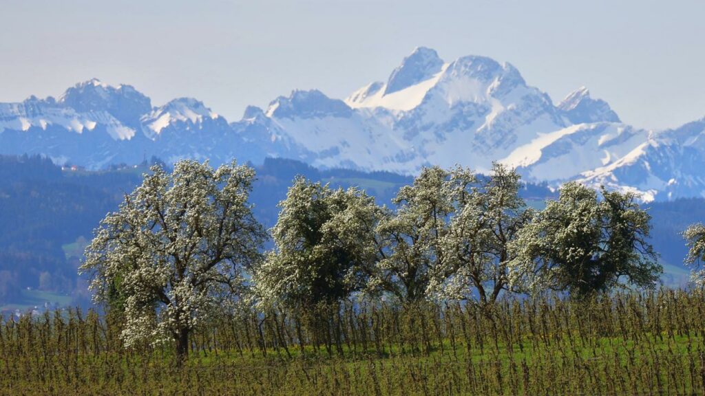 Naturschutz: Umstrittenes EU-Renaturierungsgesetz tritt in Kraft