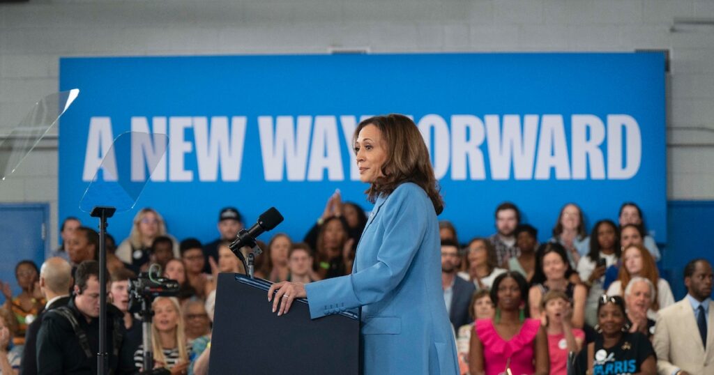 La vice-présidente américaine Kamala Harris dévoile son programme économique pour l'élection présidentielle, le 16 août 2024 à Raleigh (Caroline du Nord, sud)