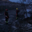 Un incendie dans l’Hérault ravage plus de 300 hectares de forêt