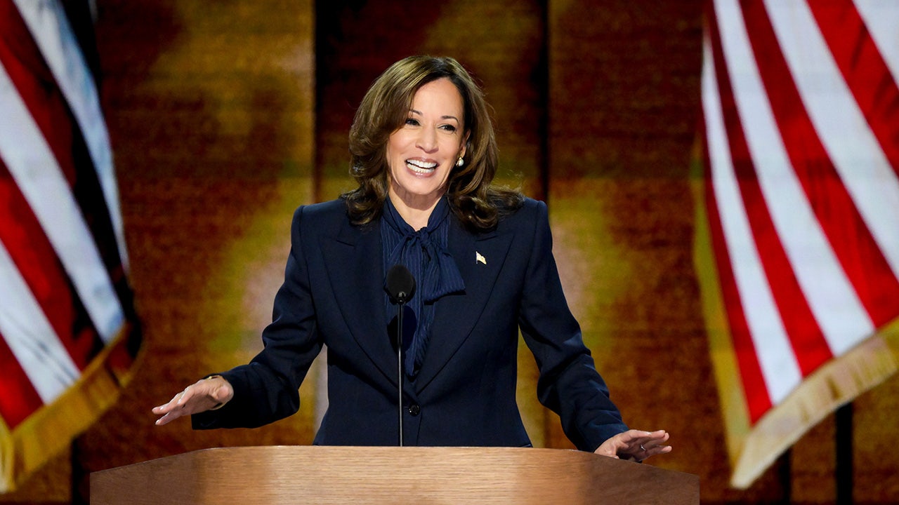 Kamala Harris’ style-over-substance campaign praised by journalists: ‘It’s a vibes election’