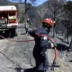 Météo France émet la première alerte rouge aux feux de forêt de l’été, dans les Pyrénées-Orientales, voici ce qu’elle implique