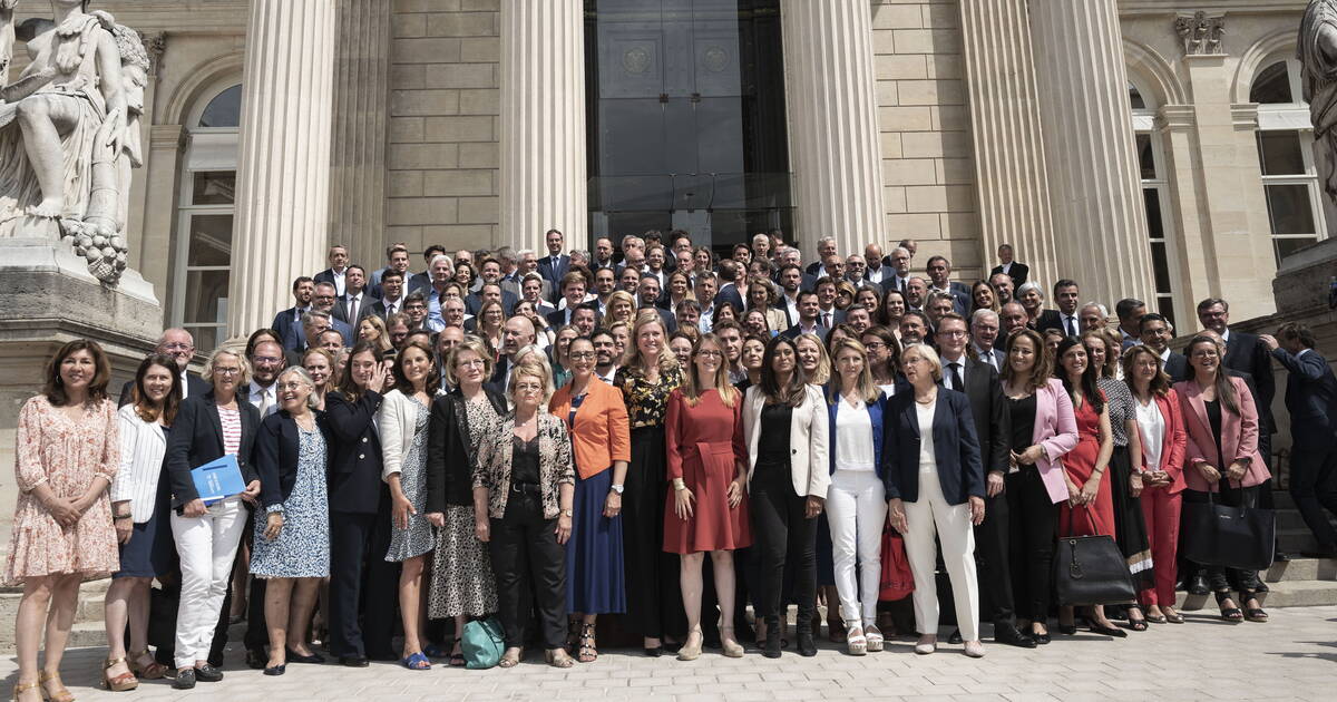 Combien de députés Ensemble ont été élus grâce aux désistements de candidats LFI lors des législatives de 2024 ?