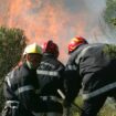 "Nous sommes prêts" : face au risque de feux de forêt, plus de 200 sapeurs-pompiers répartis dans les Pyrénées-Orientales, certains venus de Slovaquie