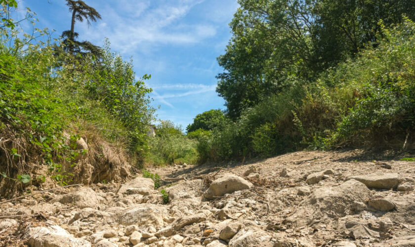 Sécheresse : l’est des Bouches-du-Rhône en « crise » ou « alerte renforcée »