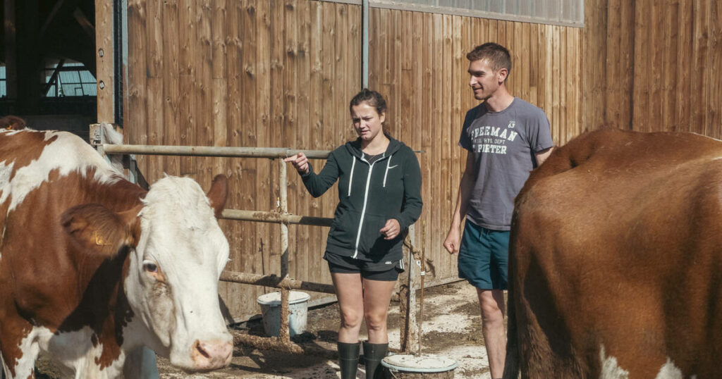 Des jeunes agriculteurs en vacances, une guinguette mobile dans le Grand-Est, une centrale solaire géante… 10 articles qui nous ont réconfortés cette semaine