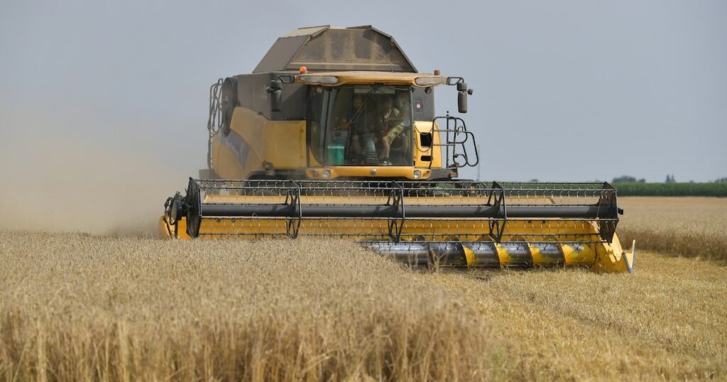 Trop de pluie et pas assez de soleil: le volume de blé produit en France pourrait être le plus faible depuis près de 40 ans