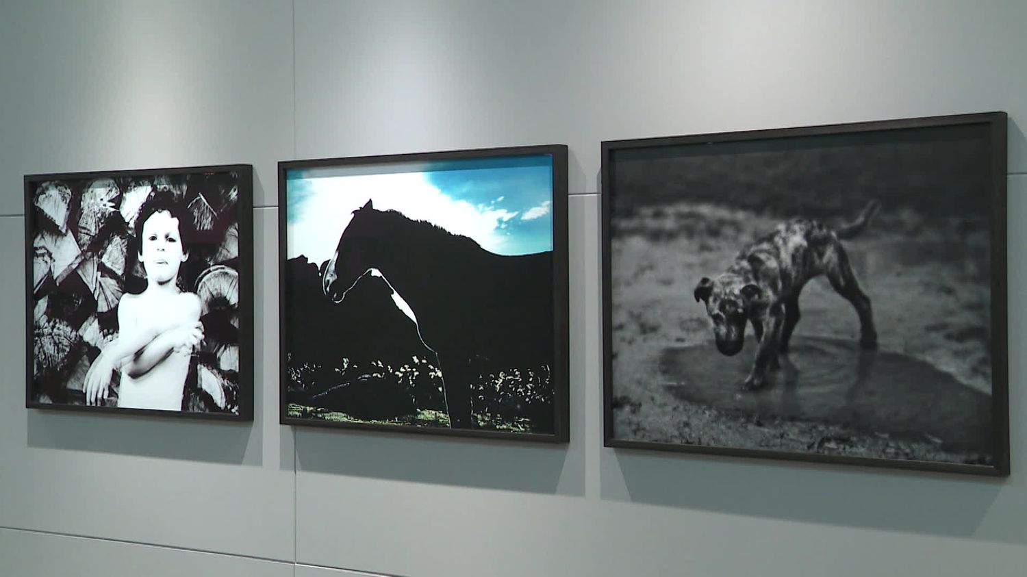 Dans l’Yonne, l’univers du photographe Jean-François Spricigo, lauréat du prestigieux prix Nadar 2023, s’expose à Sens