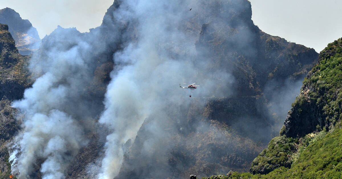 Le Portugal appelle à l’aide en raison d’un incendie dévastateur sur l’île touristique de Madère