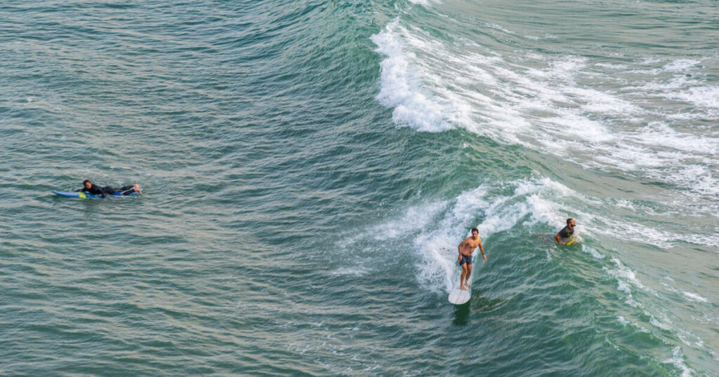 Le long de la côte basque, au royaume des surfeurs