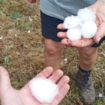 Les orages et la grêle, des Pyrénées à la Lorraine, ont fait un mort et de nombreux dégâts samedi soir