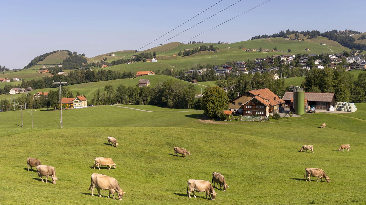 REPORTAGE. "C'est fini, je ne peux plus" : une association suisse propose d'accompagner les éleveurs qui ne veulent plus exploiter des animaux