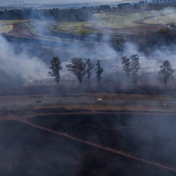 Brasilien: Schwere Waldbrände im Amazonasgebiet