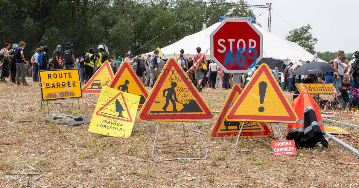 Chantier de l’A69 : de nouveaux heurts et une interpellation avant la bataille pour la protection des arbres