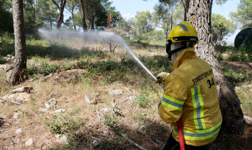 Feux de forêt dans le Sud : « Le dérèglement climatique augmente les risques et la propagation des incendies »