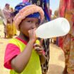 As Sudan's war rages on, trucks crammed with aid have been sitting in the sun for weeks