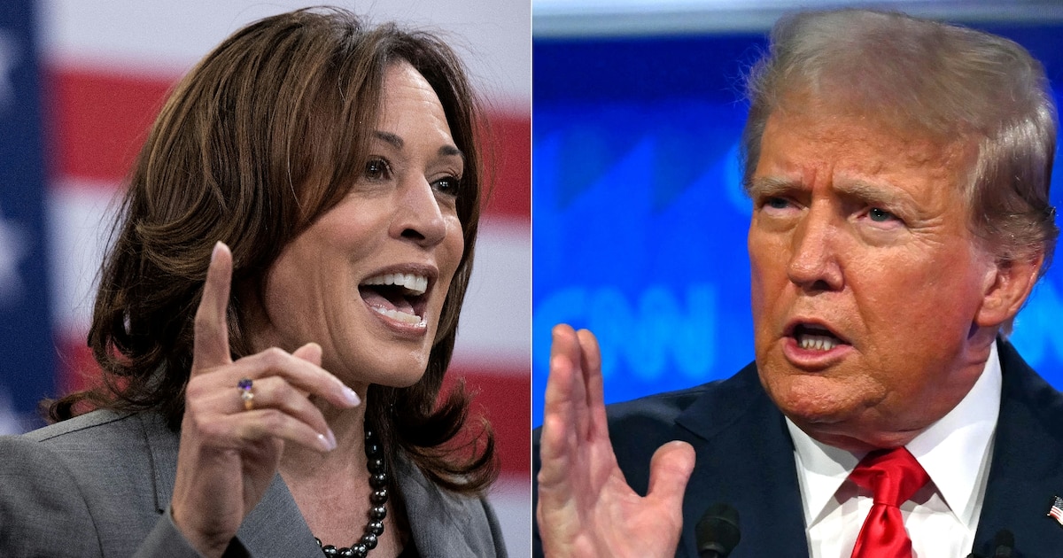 Un montage photo montrant le candidat républicain pour la Maison Blanche Donald Trump et la candidate démocrate Kamala Harris, réalisé le 3 août 2024