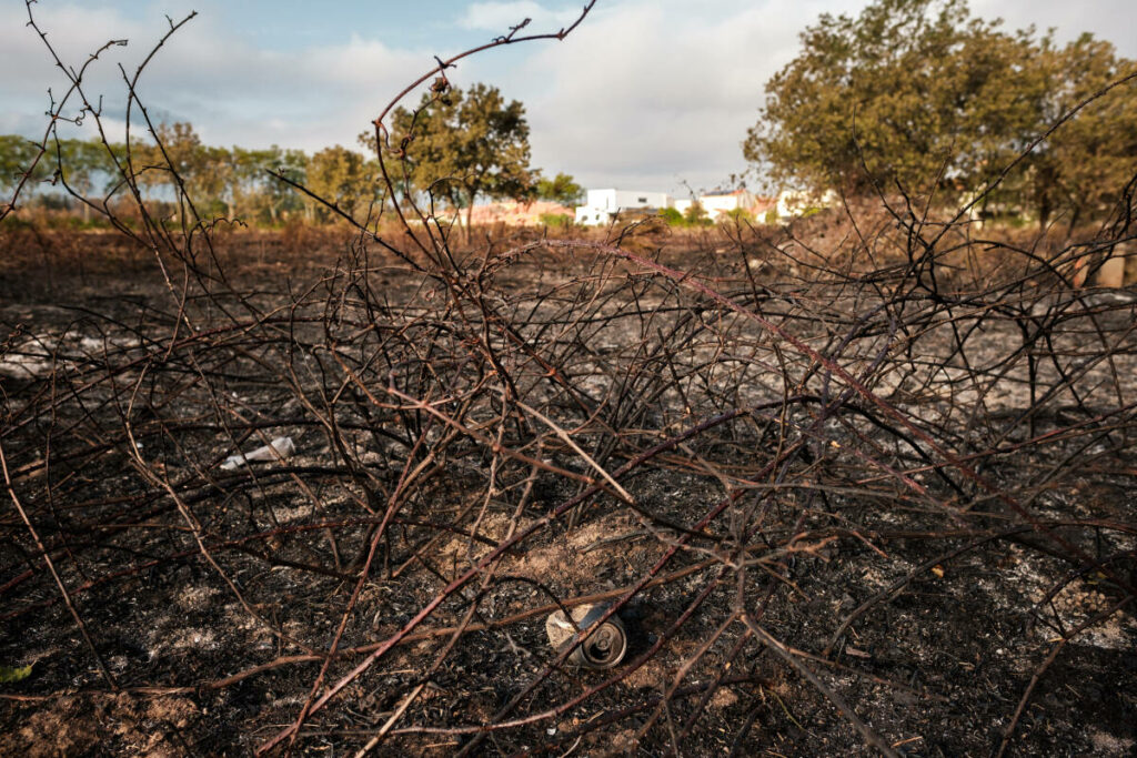 Un incendie maîtrisé dans les Pyrénées-Orientales, 3 000 vacanciers évacués d’un camping