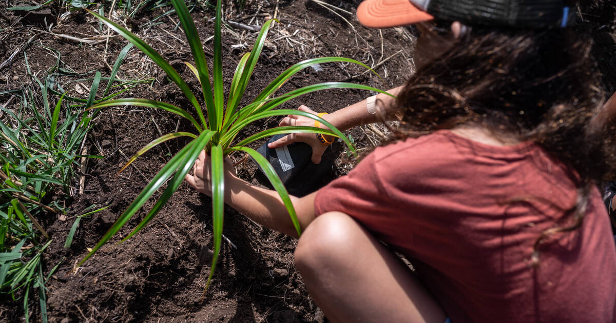 Service civique écologique : fonctionnement, missions, inscription… Qu’est-ce que le dispositif lancé ce mardi 27 août ?