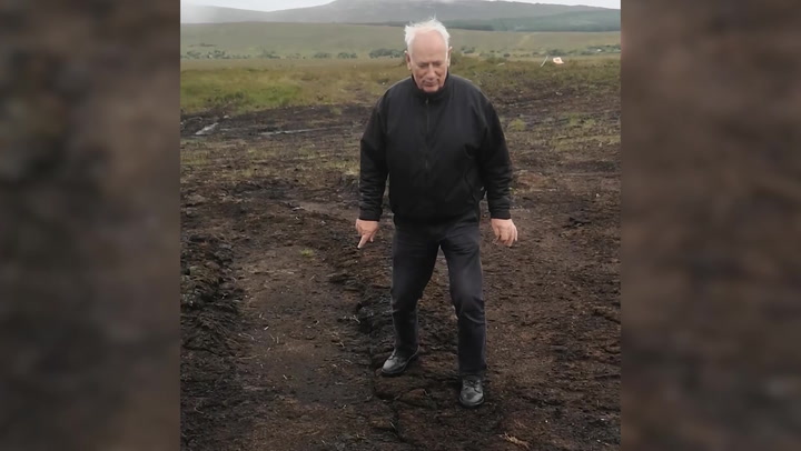 Father bounces on bog like trampoline