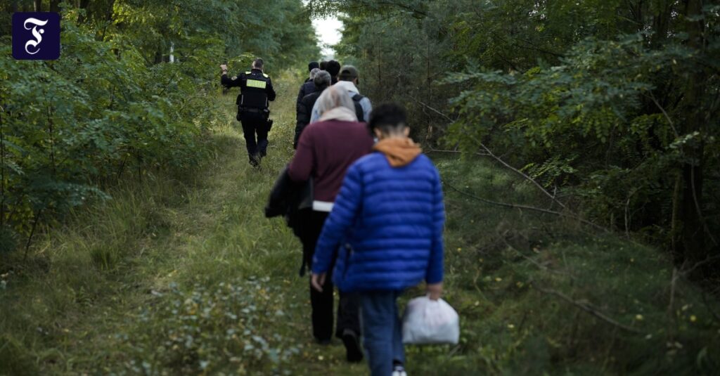 Debatte nach Solingen: Wo die Ampel die Asylpolitik schon verschärft hat