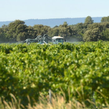 Plus de 100 nouveaux pesticides autorisés en France, la liste des produits concernés est longue